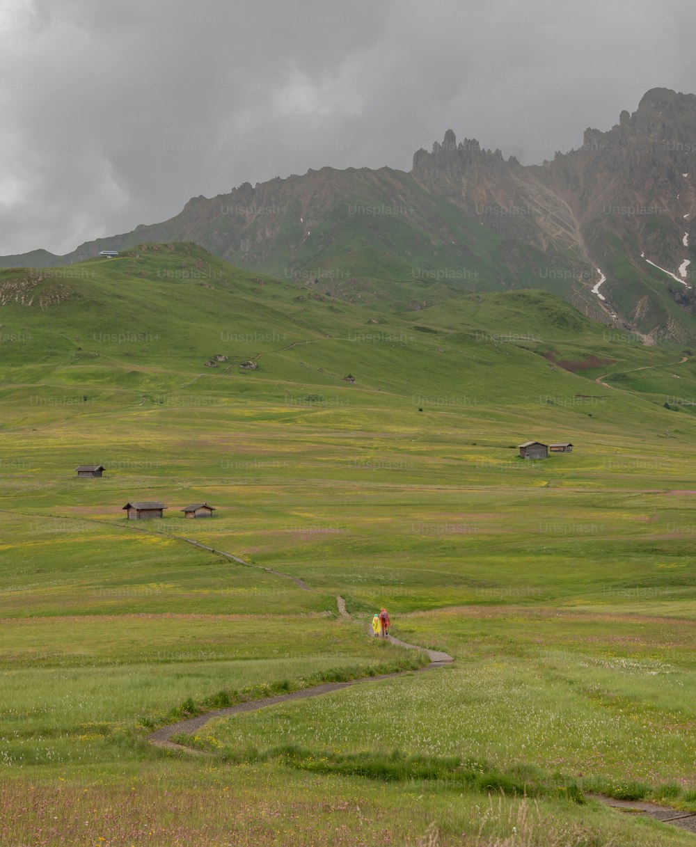 Un campo cubierto de hierba con una montaña al fondo