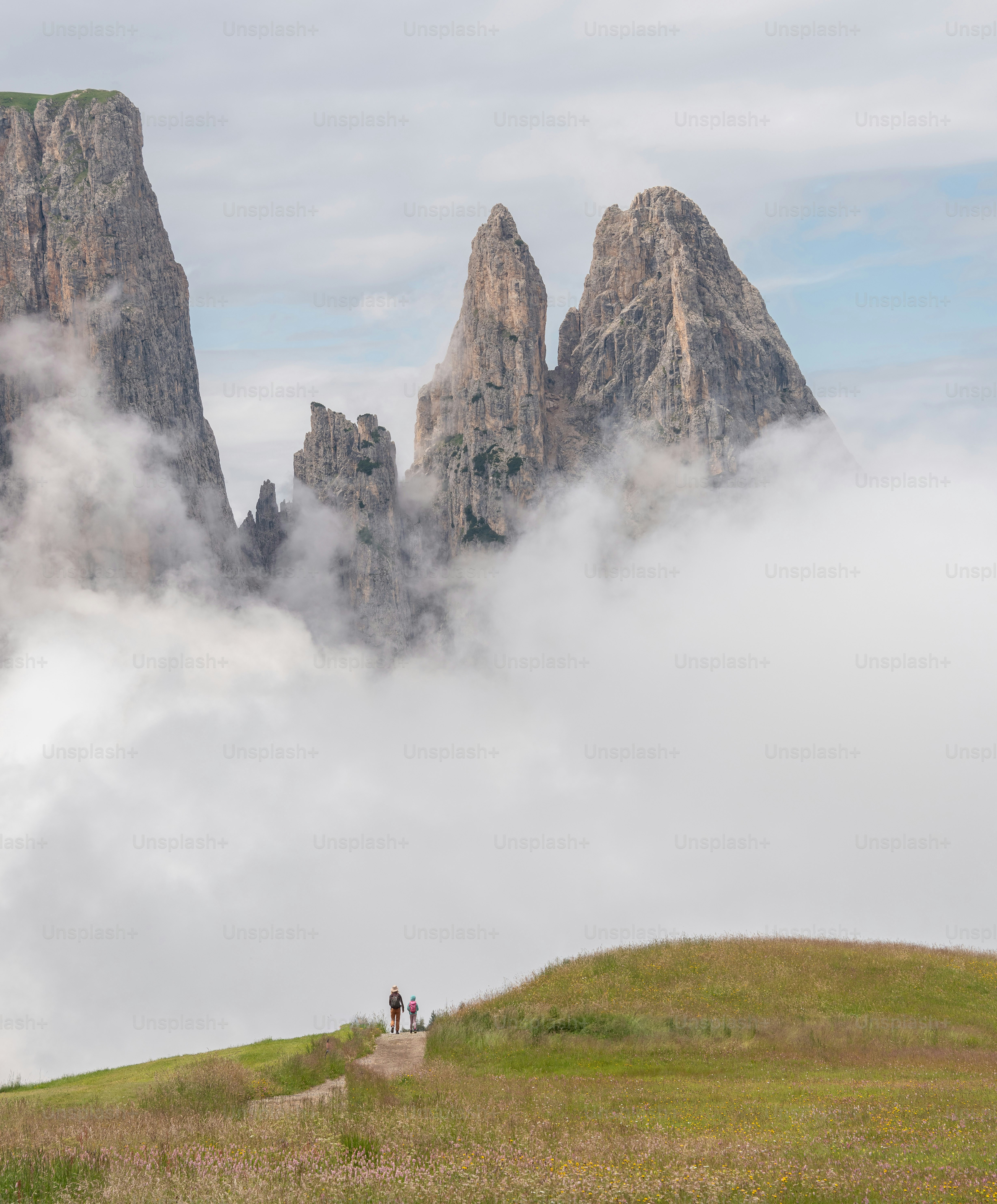 Un par de personas de pie en la cima de una exuberante ladera verde
