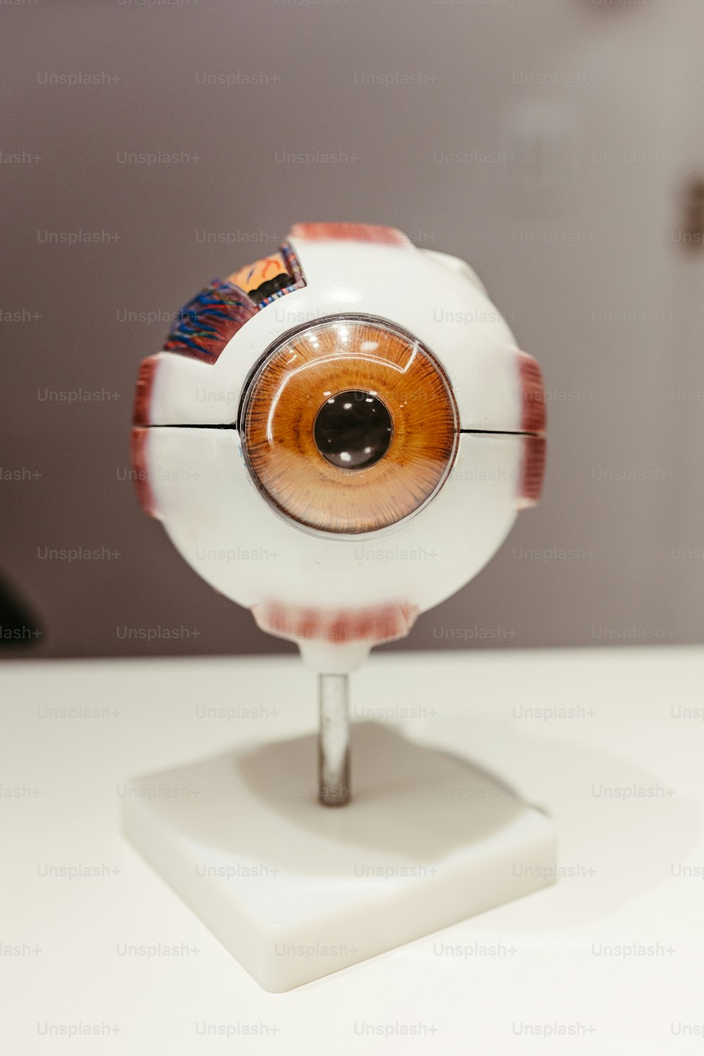 a close up of an eyeball on a stand