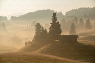 Ein Haus auf einem Hügel, umgeben von Bäumen