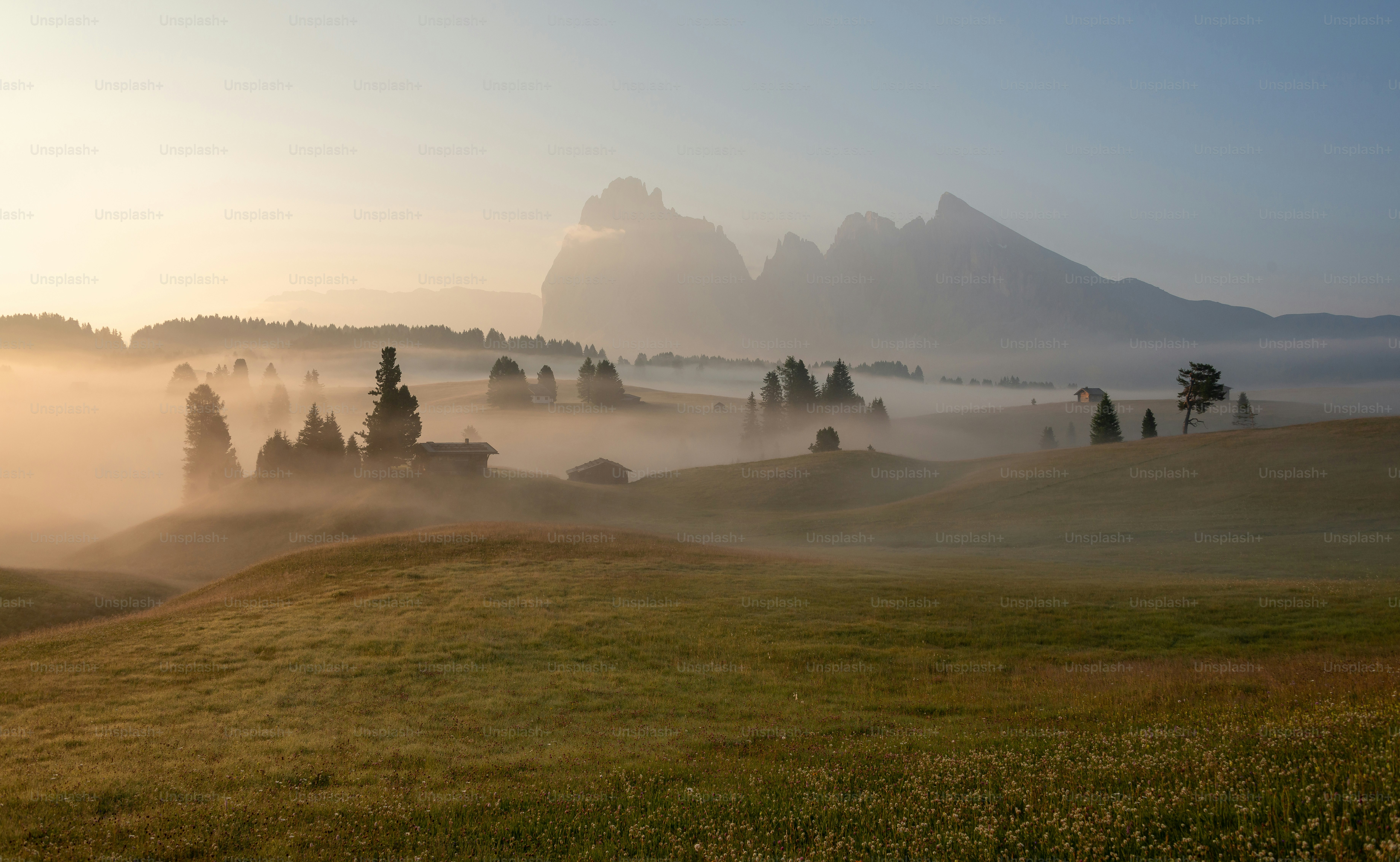 a foggy field with trees and mountains in the background