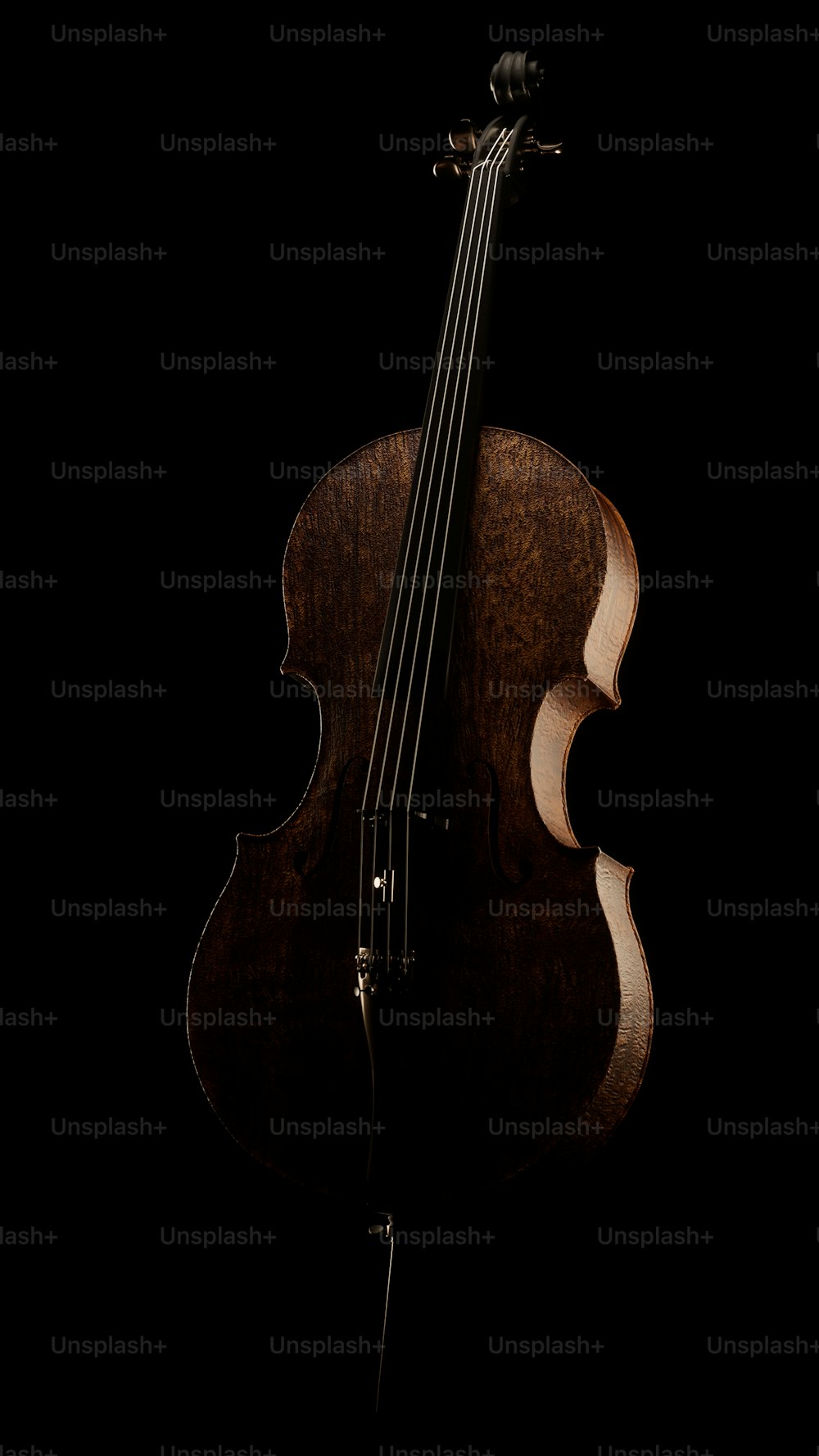 a double bass is shown against a black background