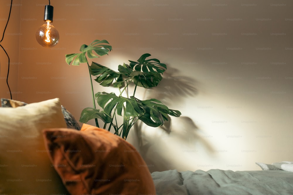 a bedroom with a plant and a lamp on the wall