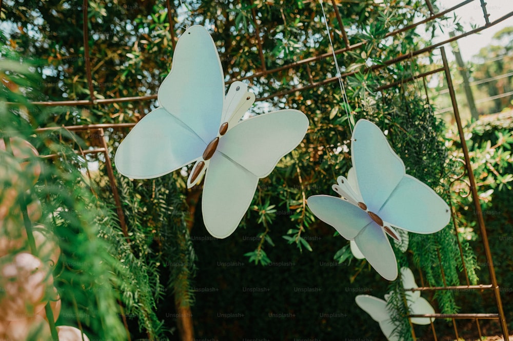 Un par de mariposas blancas colgando de un alambre