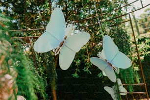 a couple of white butterflies hanging from a wire