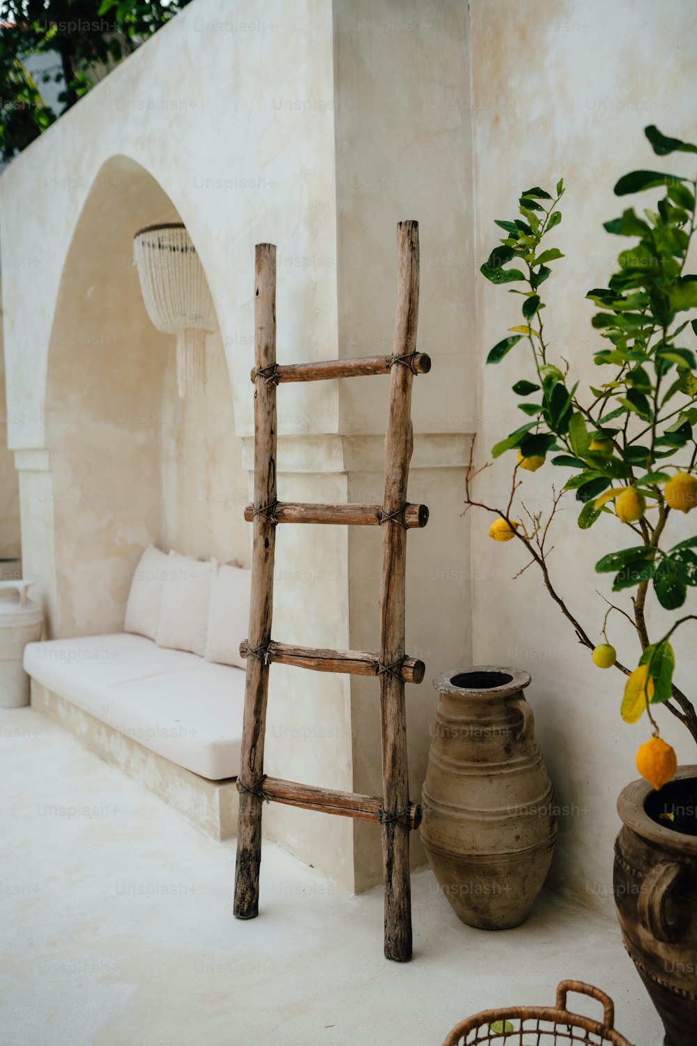 una escalera apoyada contra una pared junto a una planta en maceta