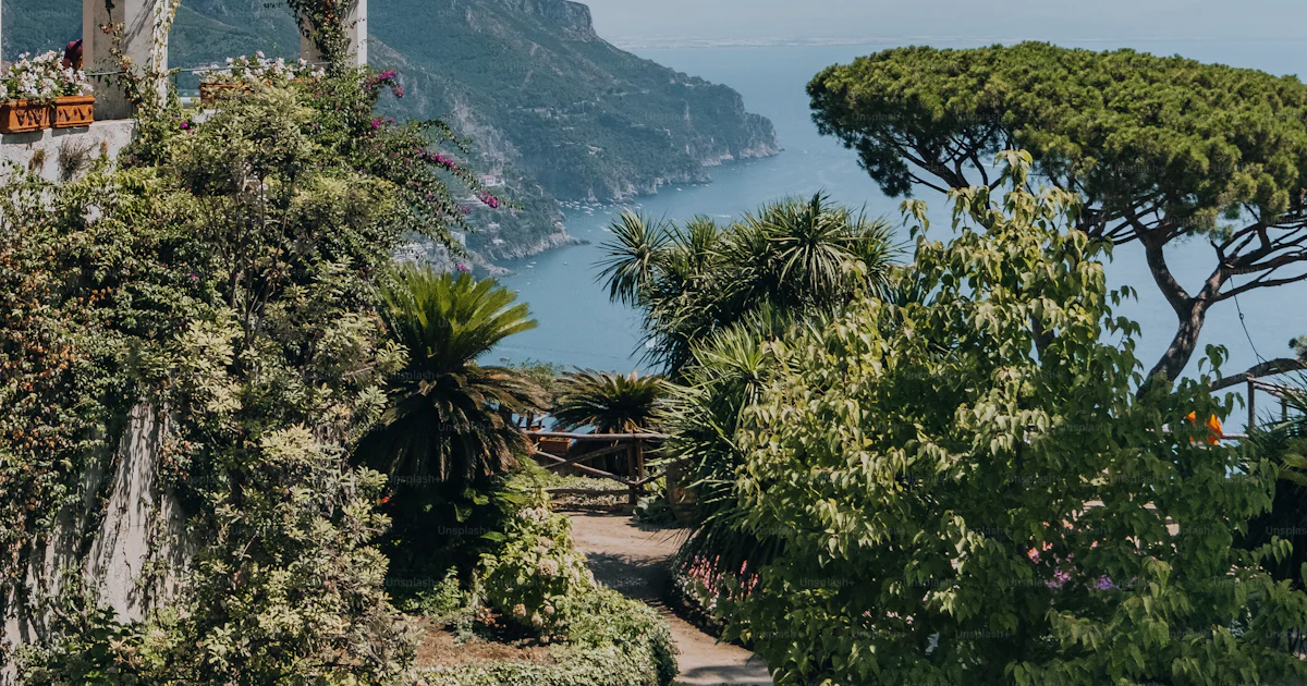 Cima Lock Una vista dell'oceano dalla cima di una collina - Foto su Unsplash