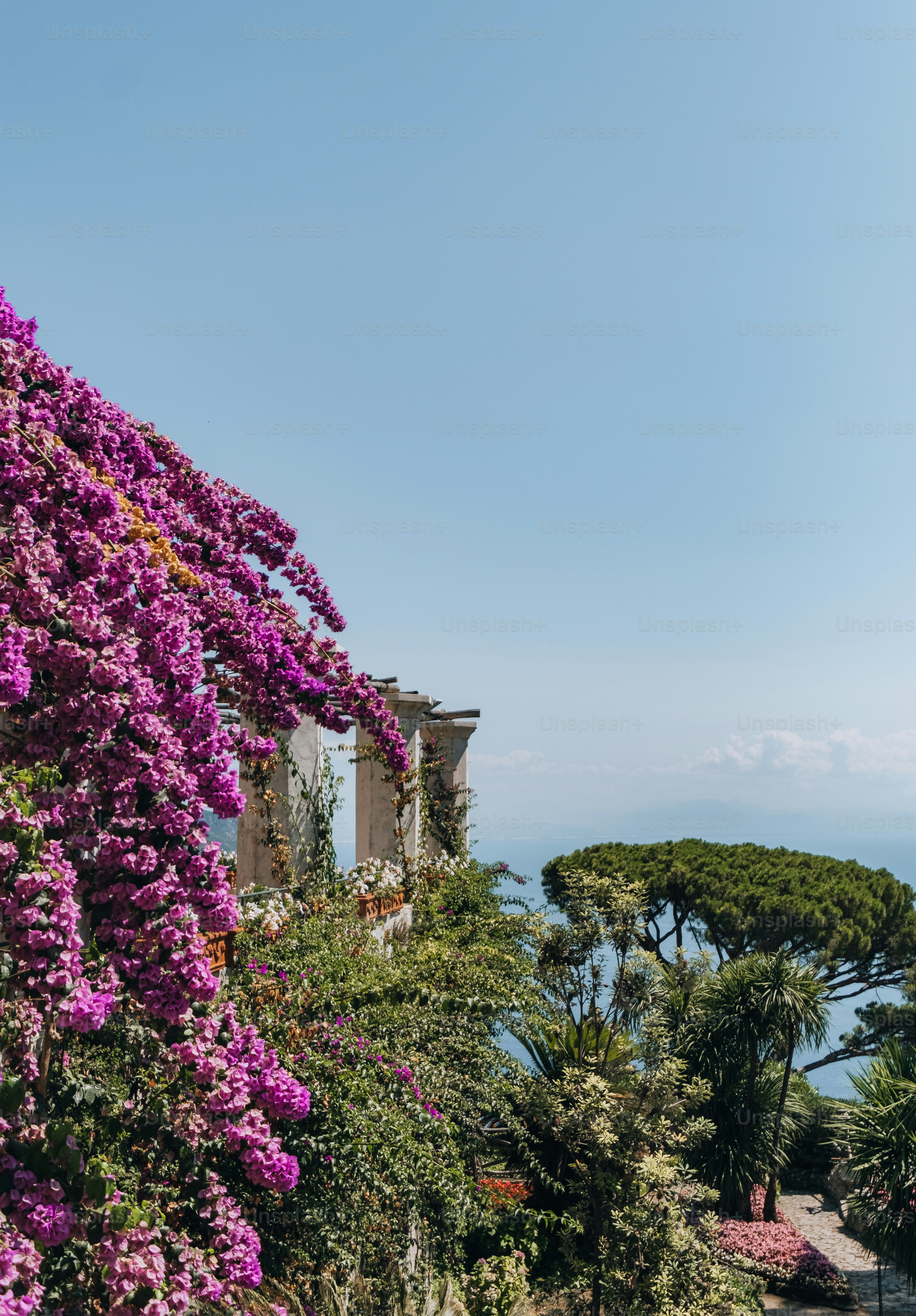 Mediterranean garden design in Marseillan-Plage