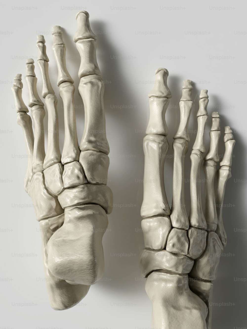 Una escultura blanca de un pie con huesos expuestos