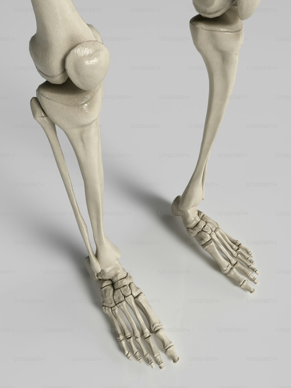 uma renderização 3D de uma perna e pé humanos