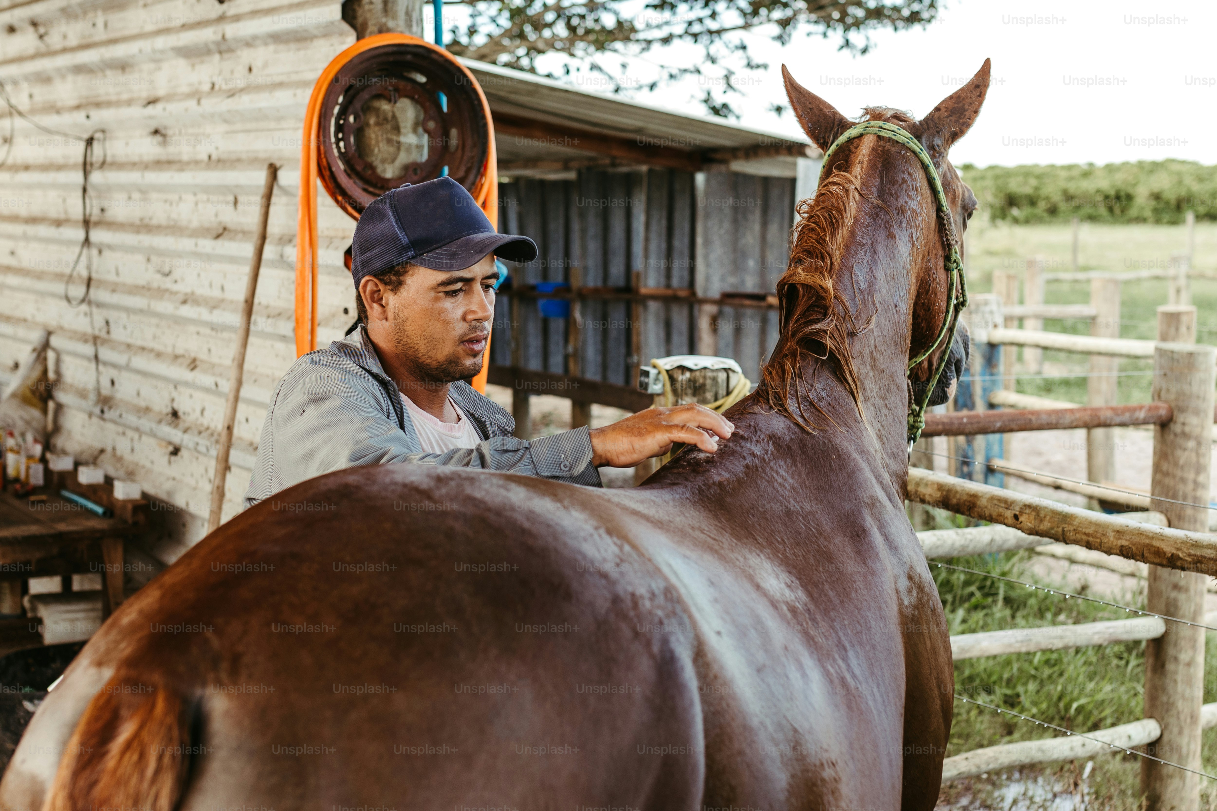 a man standing next to a brown horse