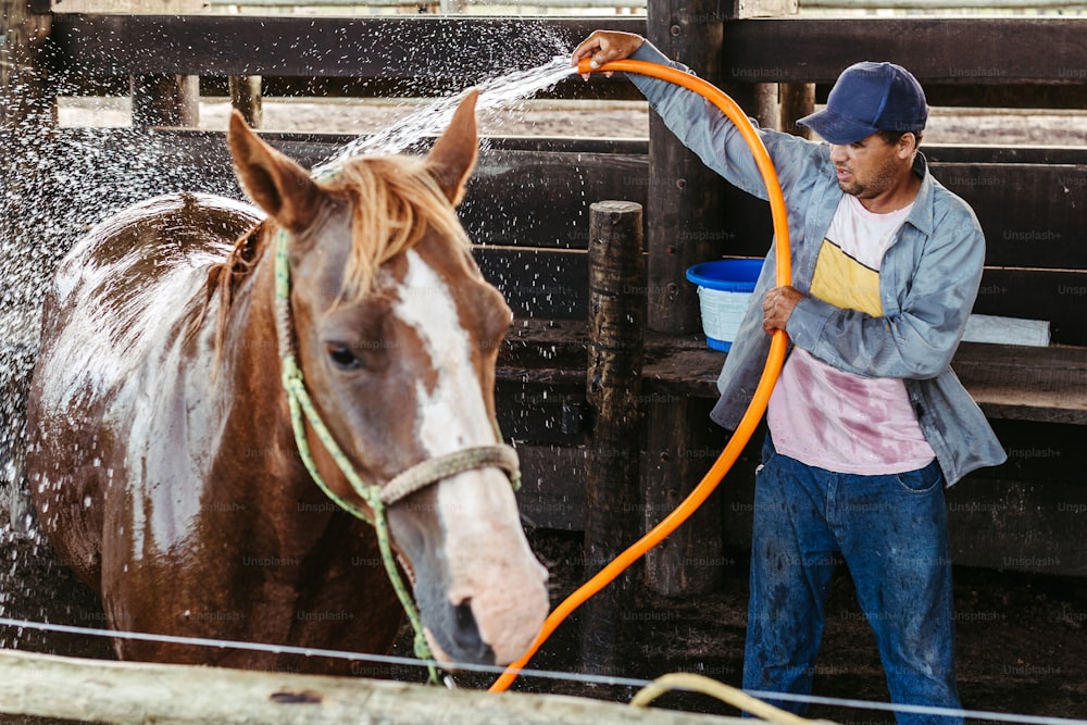 um homem lavando um cavalo com uma mangueira