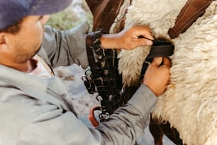 um homem está aparando a lã de uma ovelha com um par de tesouras