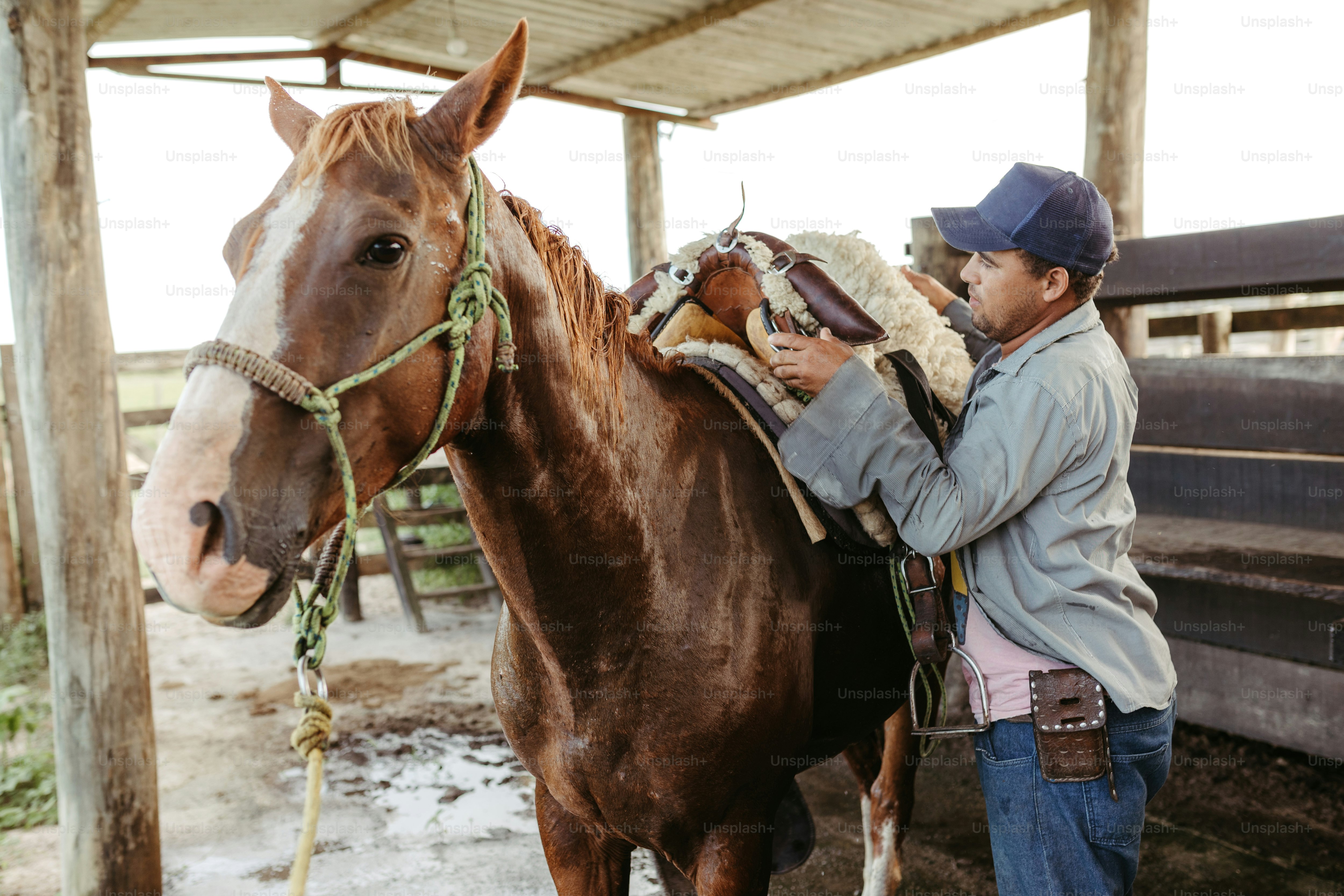 A man standing next to a brown horse photo – Horse Image on Unsplash