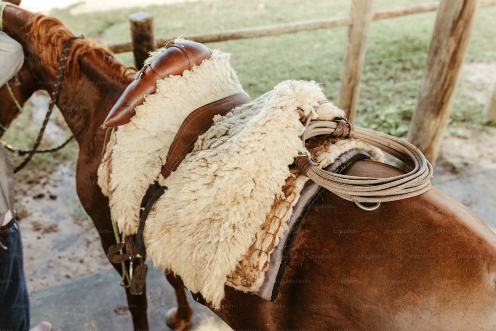 a close up of a horse wearing a saddle