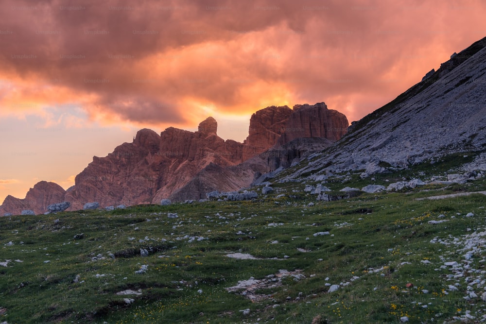 Un campo cubierto de hierba con una montaña al fondo