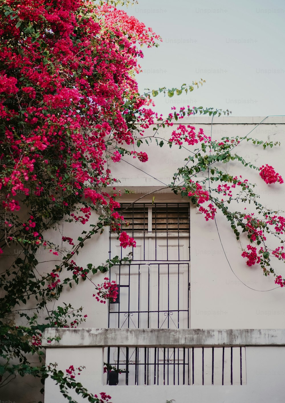 ein weißes Gebäude mit roten Blumen darauf