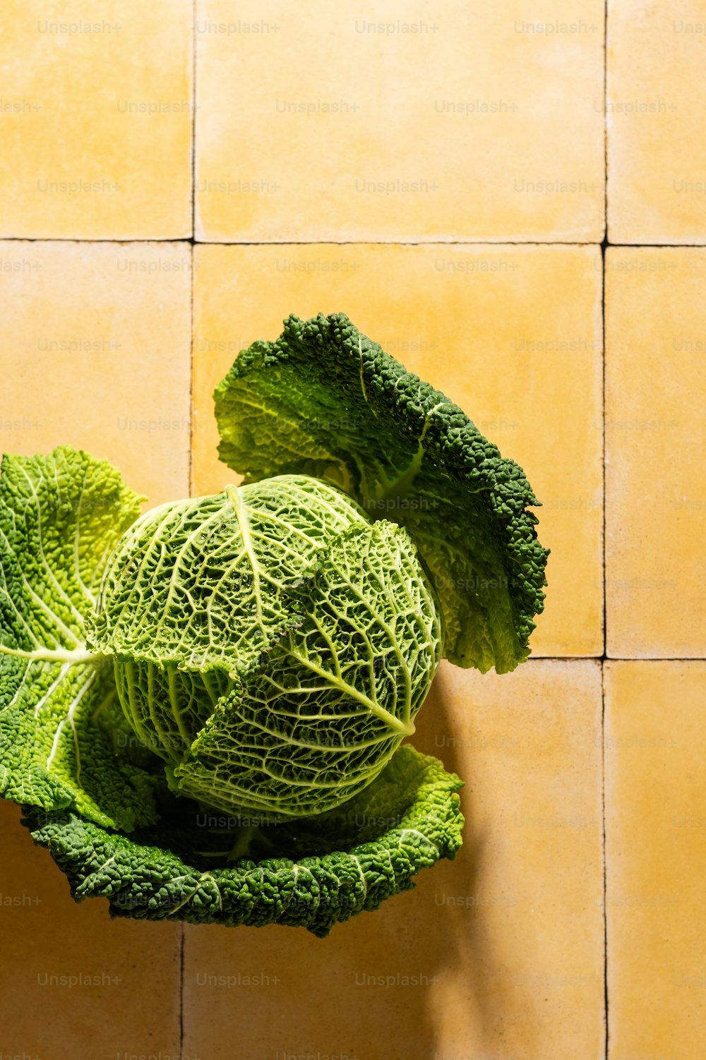 a head of cabbage on a yellow tiled surface