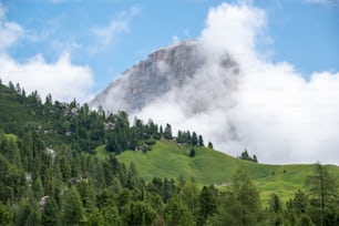 a mountain covered in clouds and trees on a sunny day