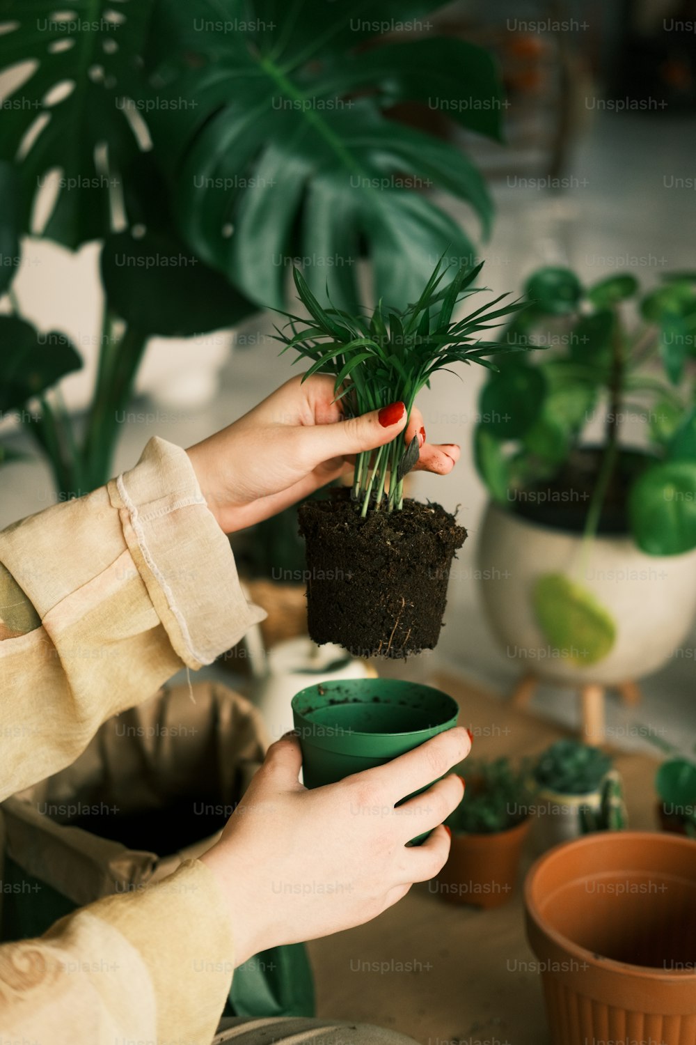 a person holding a plant in their hand