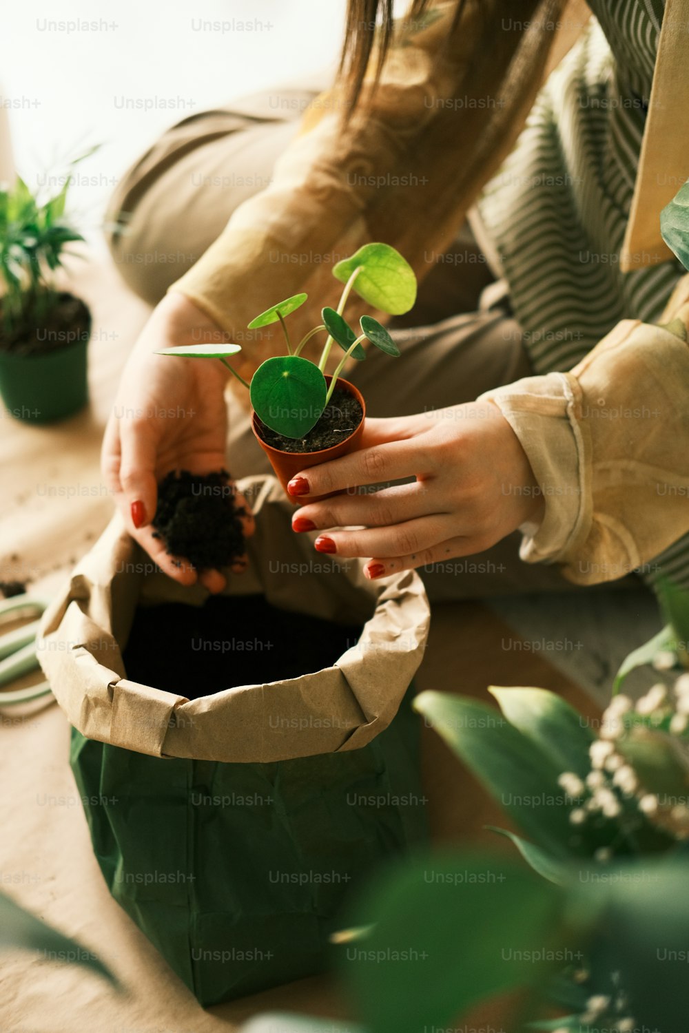 Una mujer sosteniendo una planta en maceta en sus manos