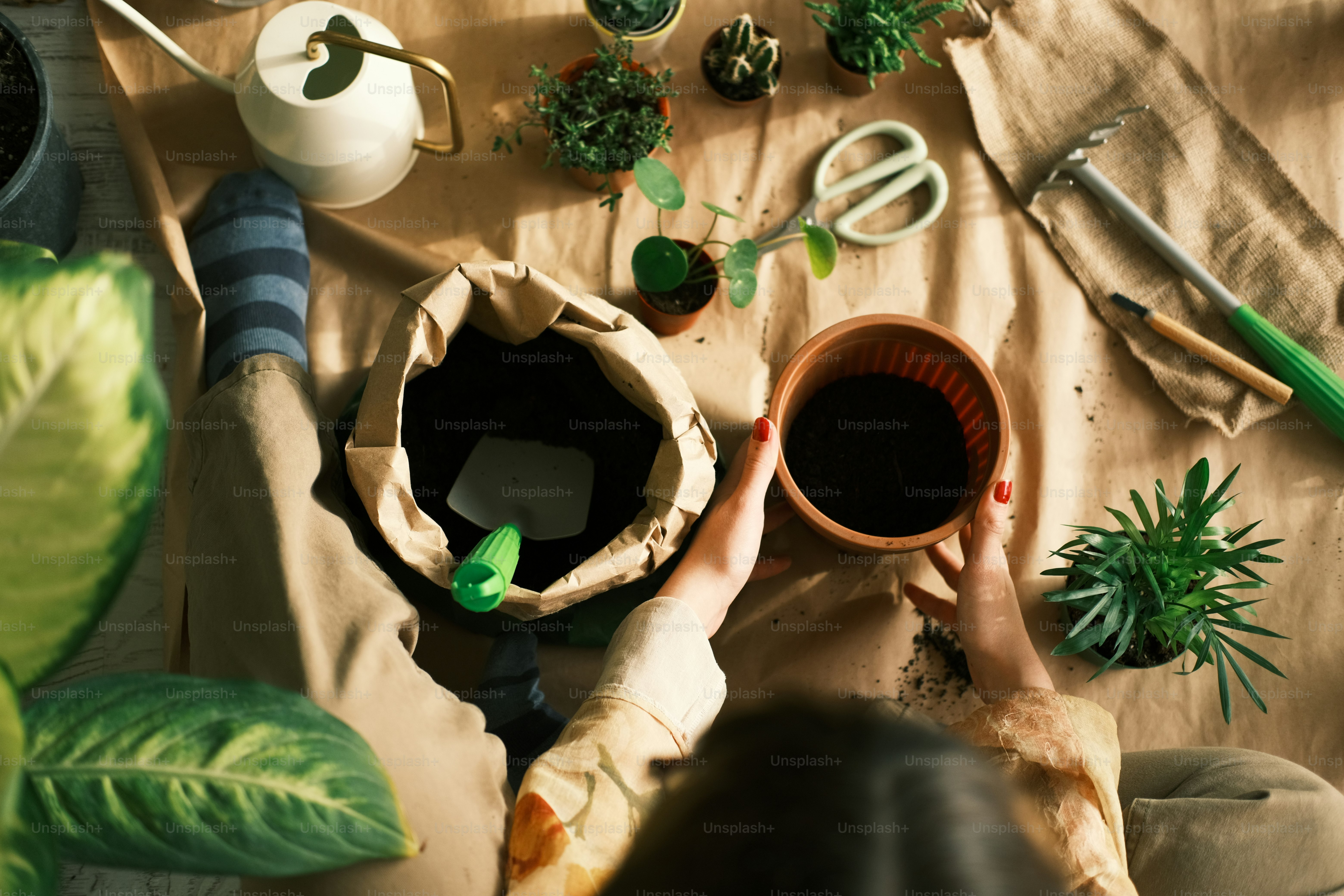 테이블 위에 화분을 들고 있는 사람