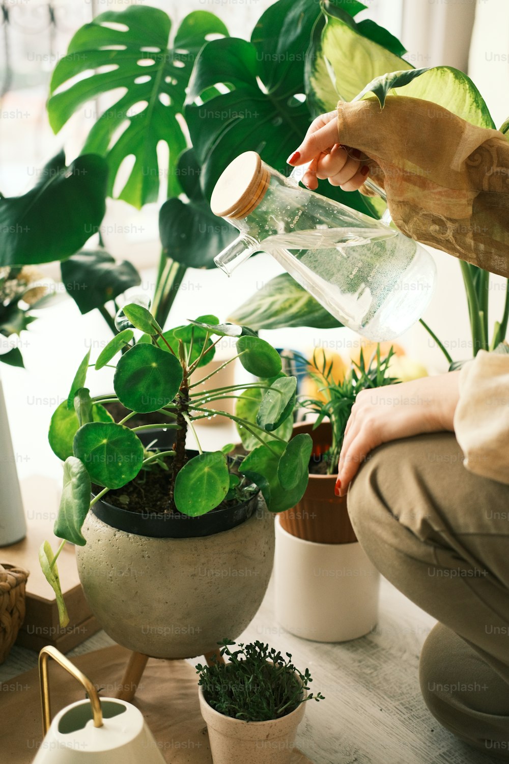 a person pouring water into a potted plant
