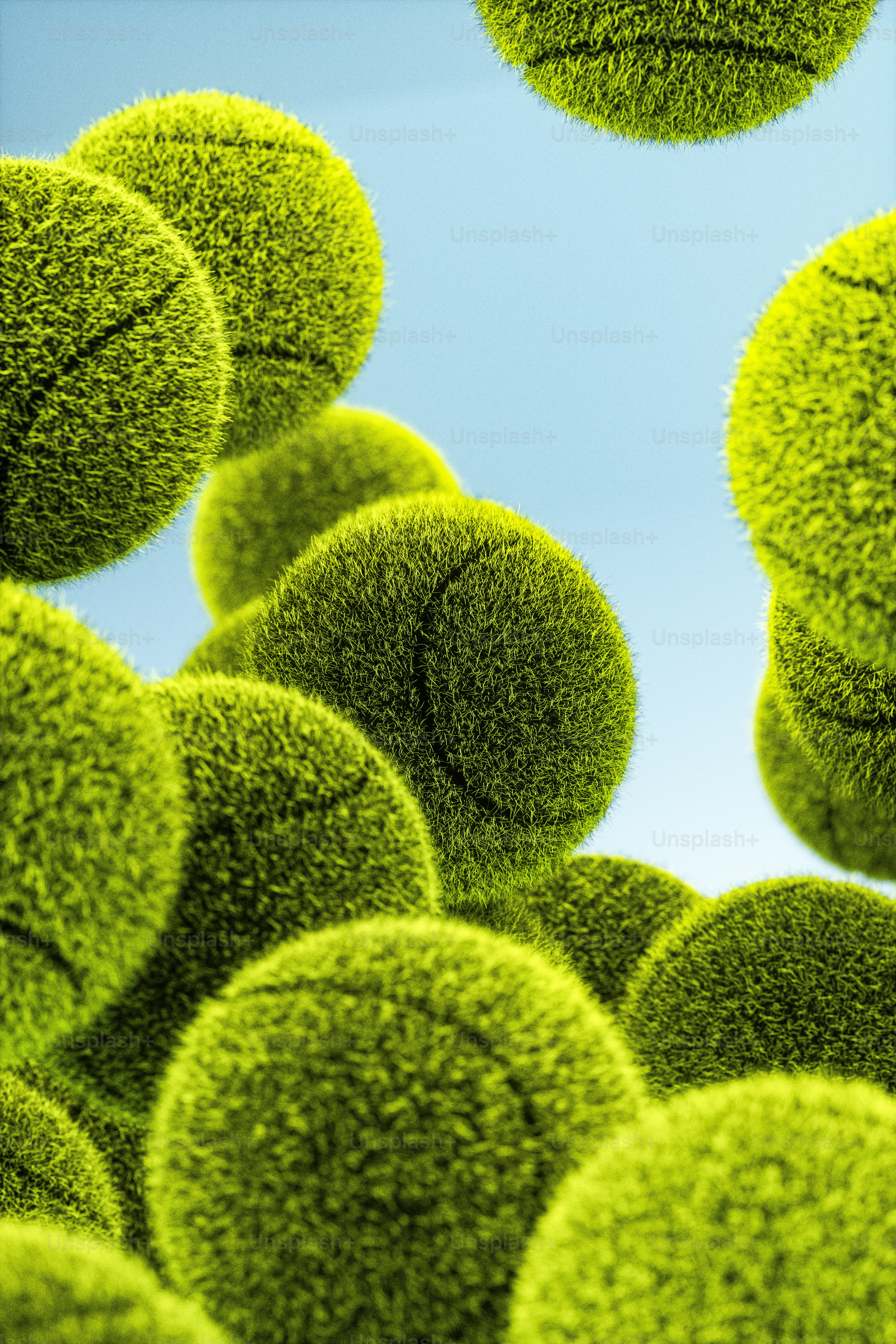 Eine Gruppe grüner Pflanzen mit blauem Himmel im Hintergrund