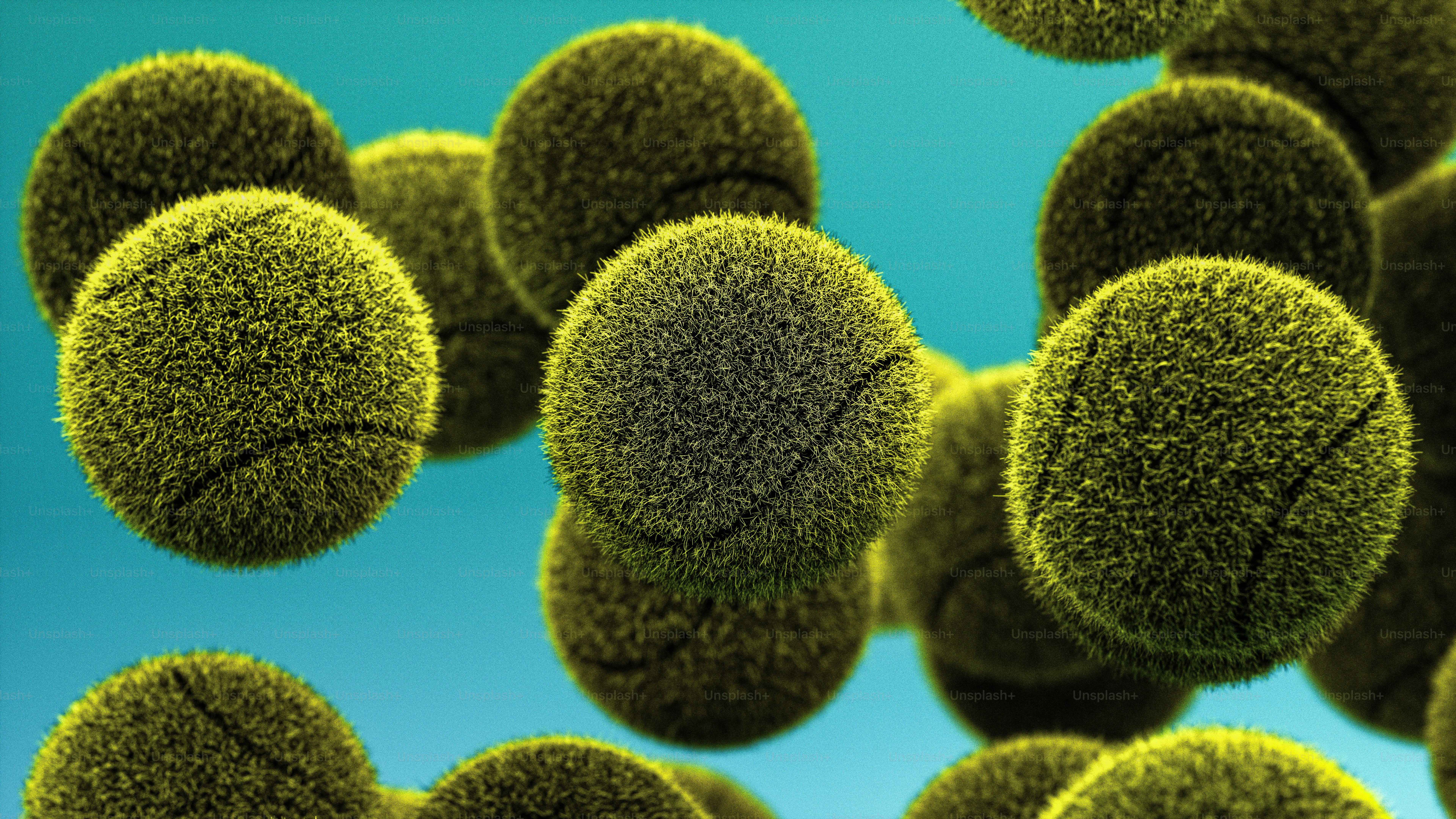 Eine Nahaufnahme eines Bündels grüner Pflanzen