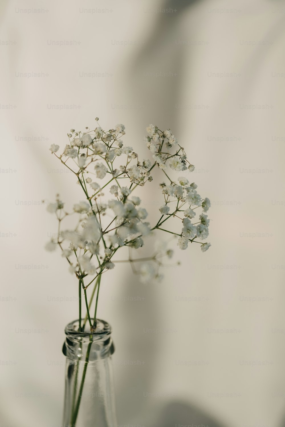 a glass vase filled with white flowers on top of a table