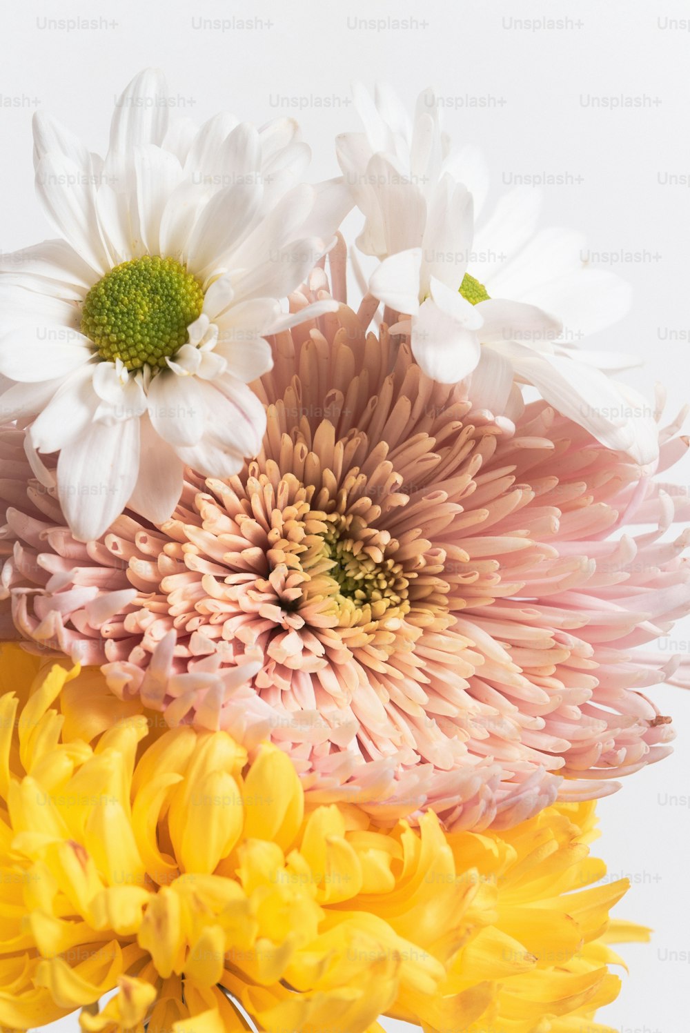 um close up de um ramo de flores em um vaso