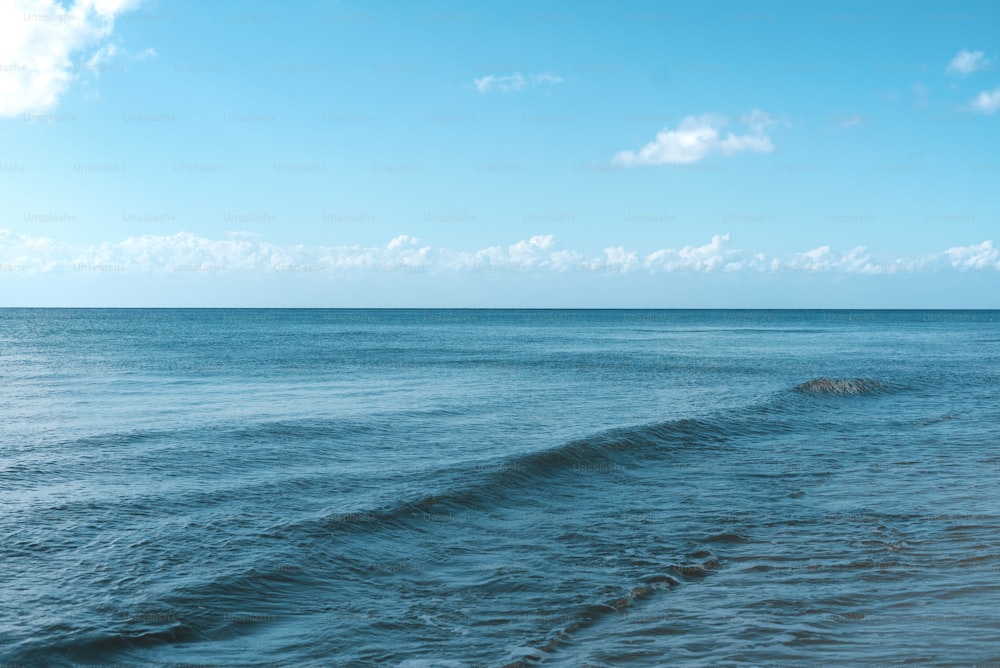 a large body of water with waves coming in to shore