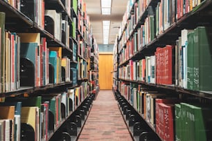 uma longa fila de livros em uma biblioteca