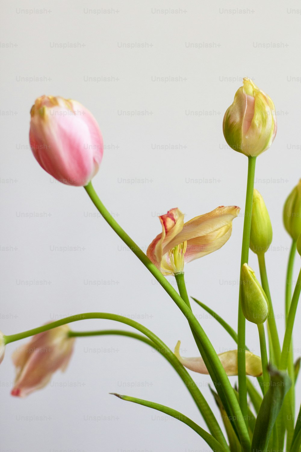 a vase filled with pink and yellow flowers