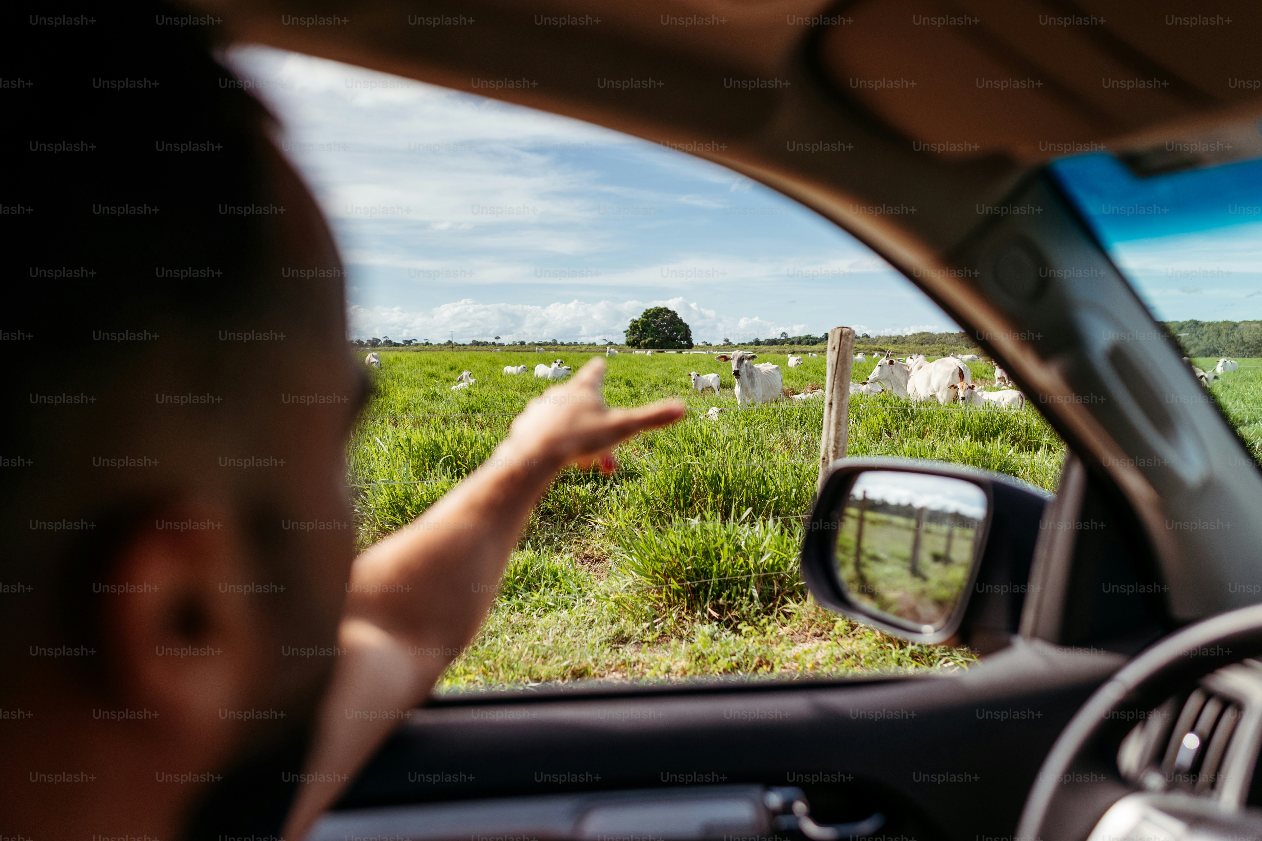 car mirror