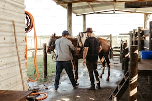 two men walking a horse in a stable