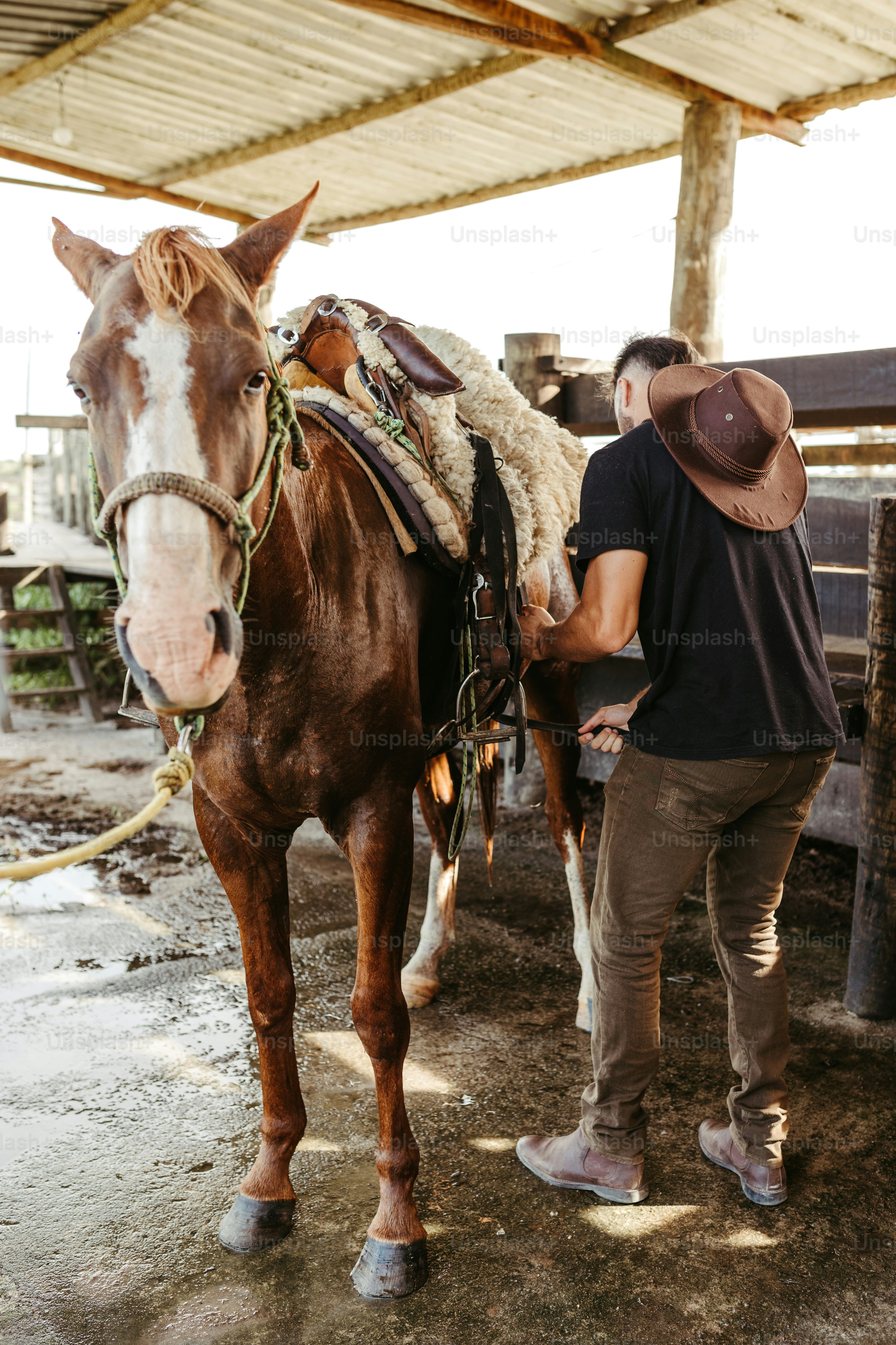 Un hombre parado junto a un caballo marrón