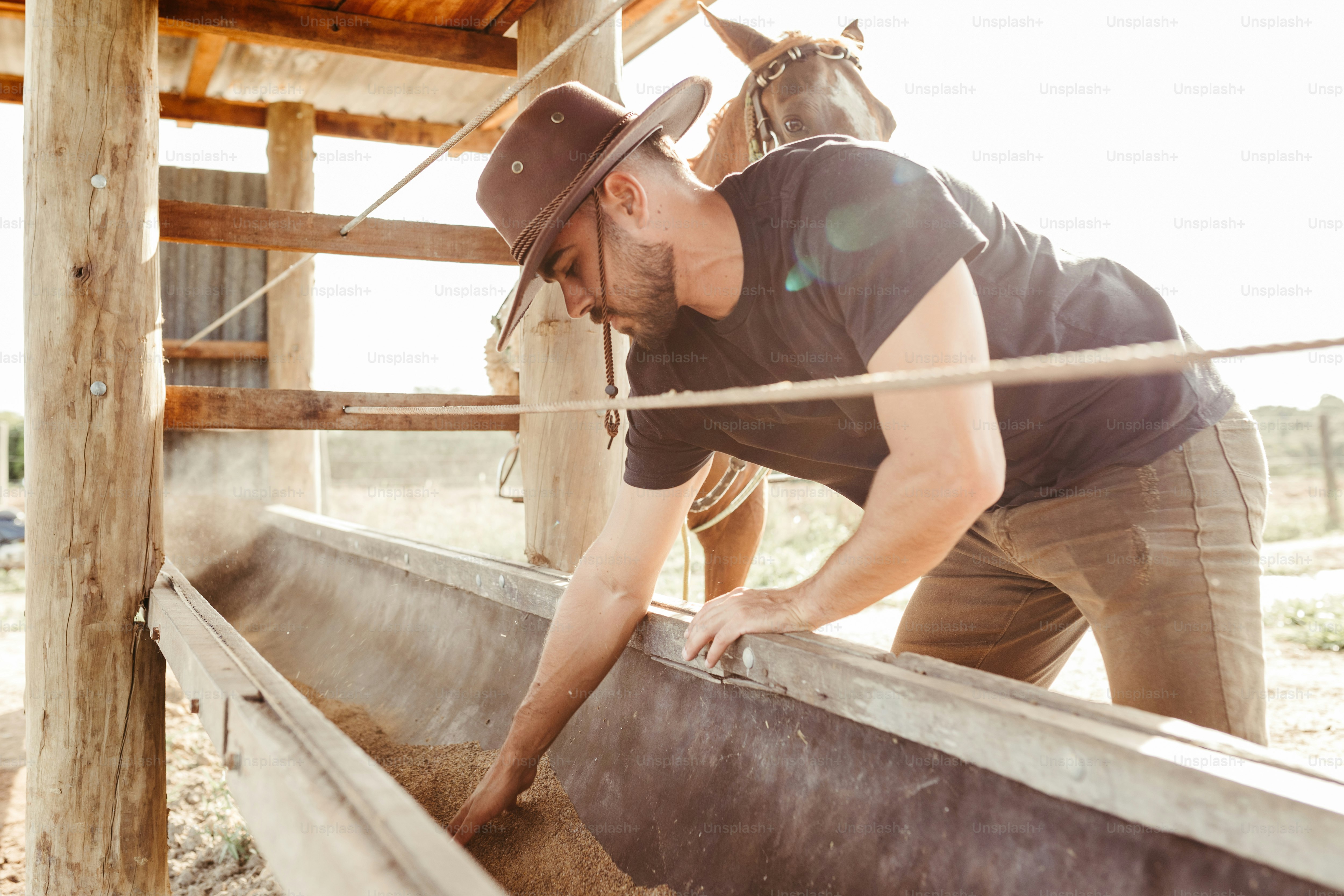 a man in a cowboy hat is milking a horse