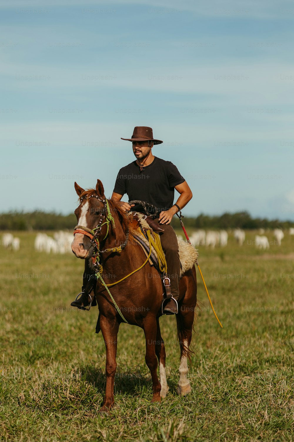 a man riding on the back of a brown horse