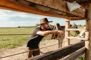 a man leaning over a fence to pet a cow