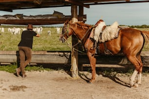 Un hombre parado junto a un caballo marrón