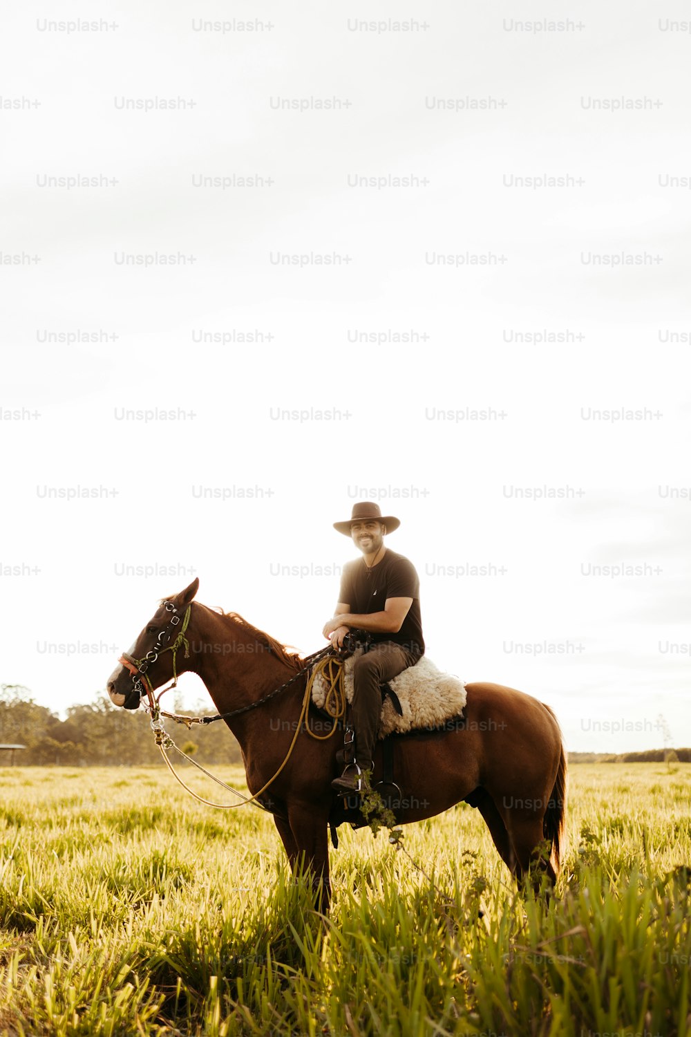 Ein Mann reitet auf dem Rücken eines braunen Pferdes