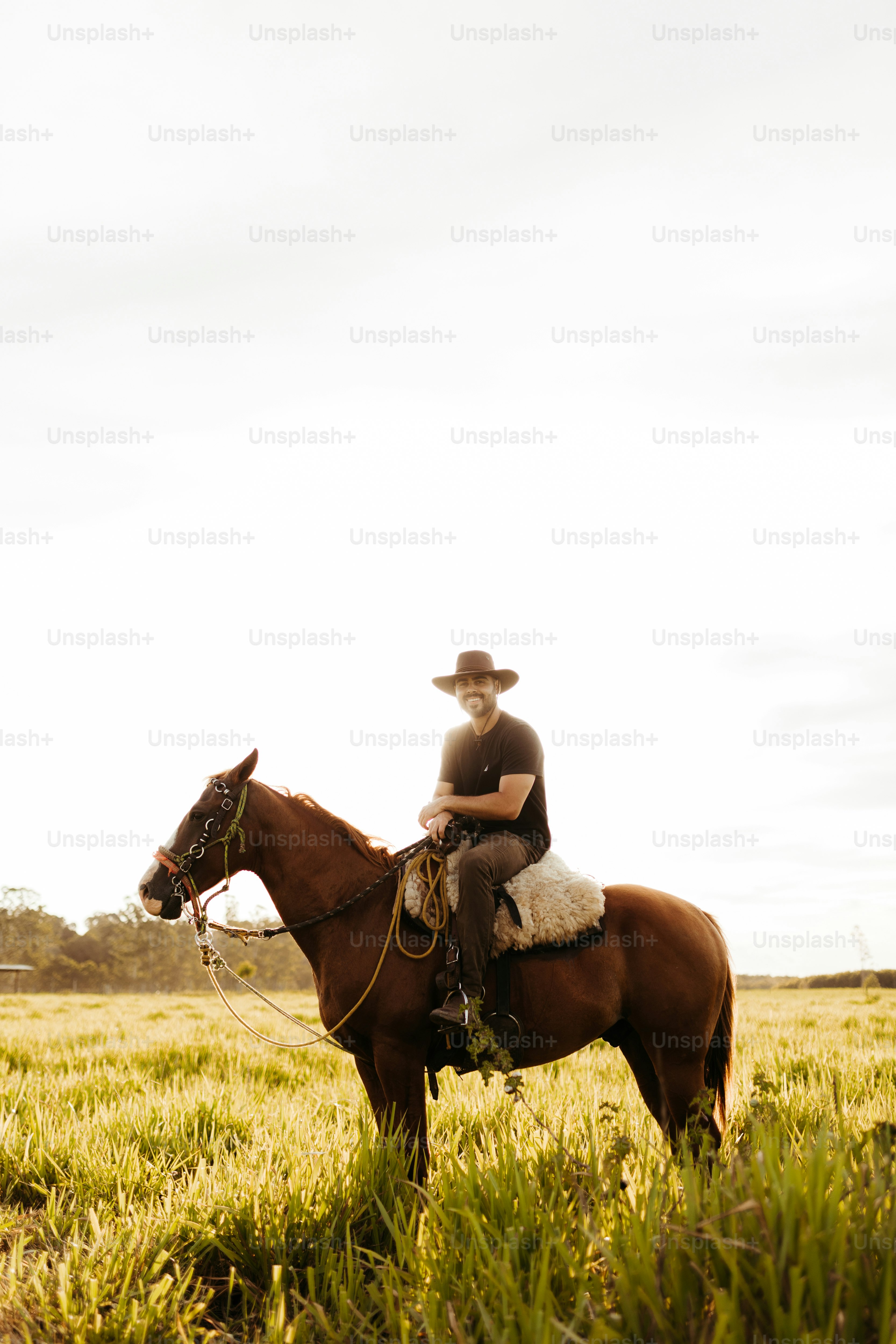 a man riding on the back of a brown horse