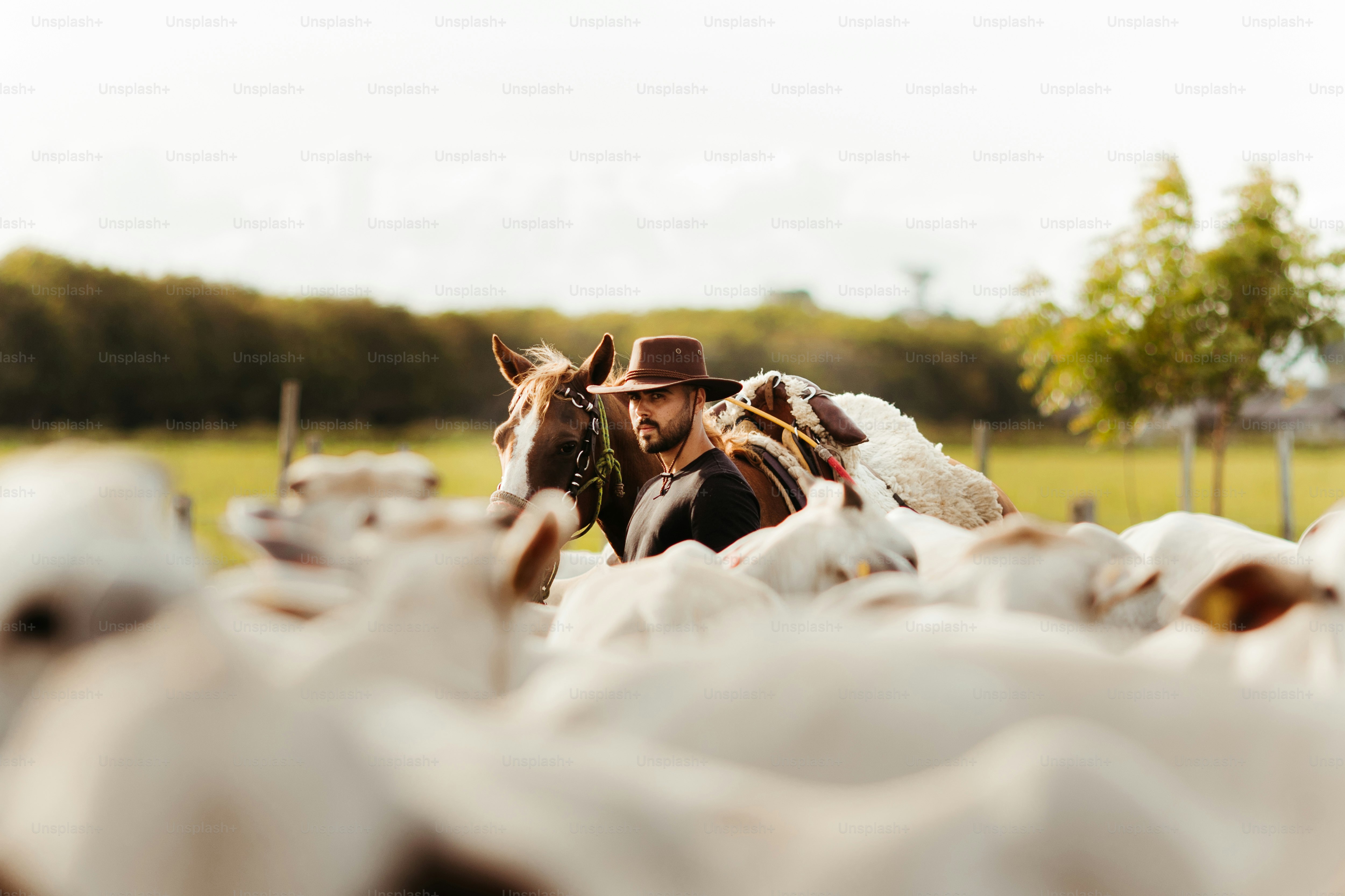 Un hombre con sombrero de vaquero parado junto a un caballo