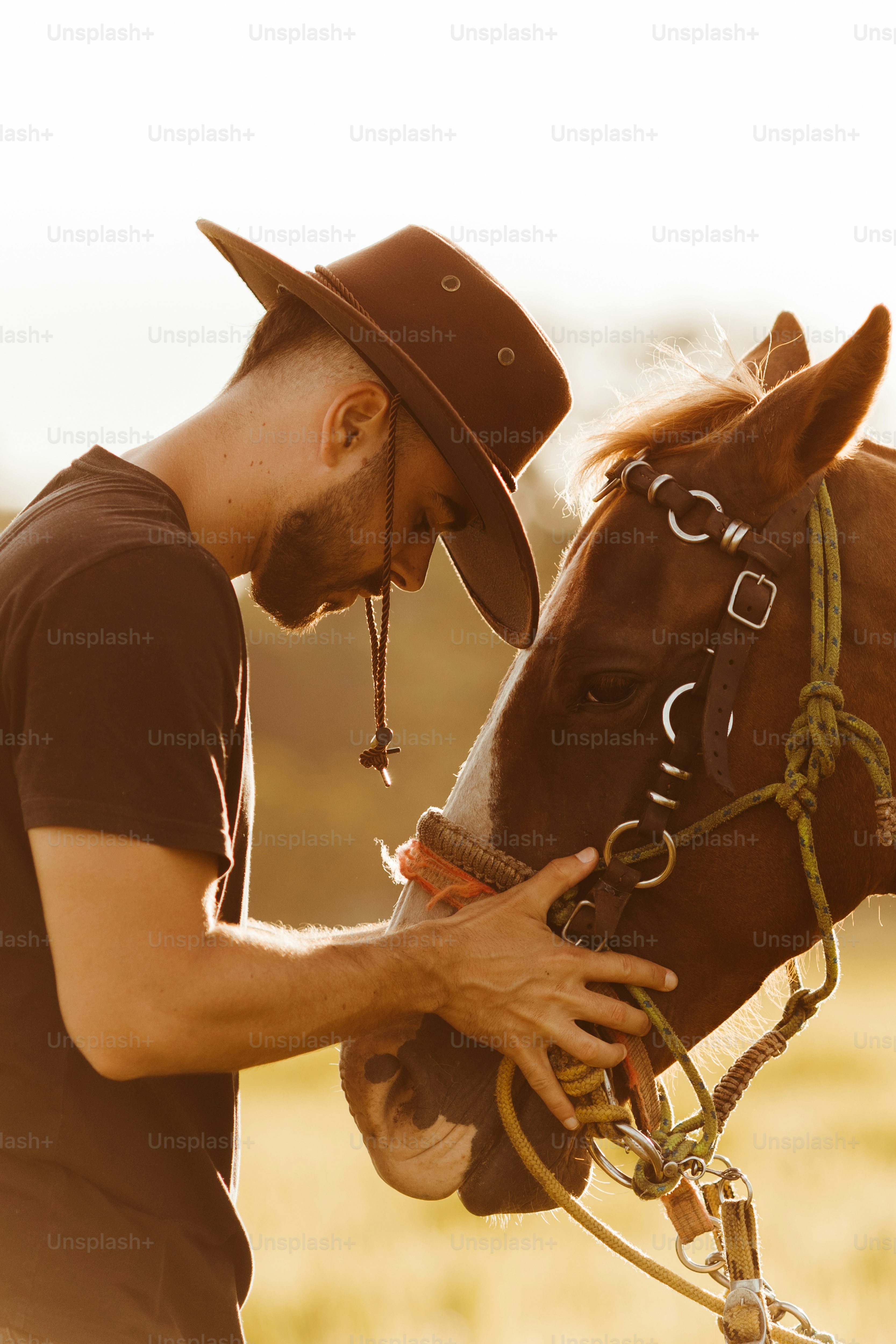 Un hombre acariciando un caballo marrón con un sombrero puesto