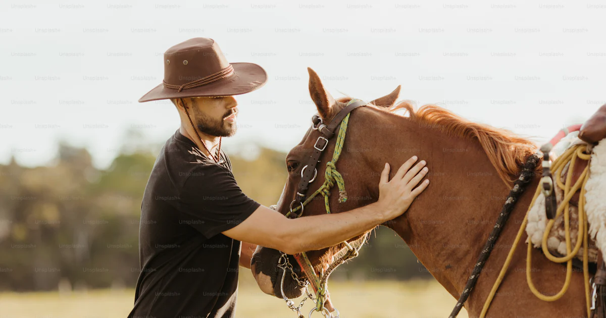 Longues rênes cheval nylon et sangle Waldhausen, Rênes cheval Longues rênes cheval nylon et sangle Waldhausen, Rênes cheval