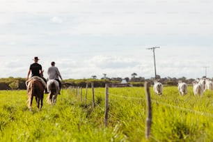 a couple of people riding on the backs of horses