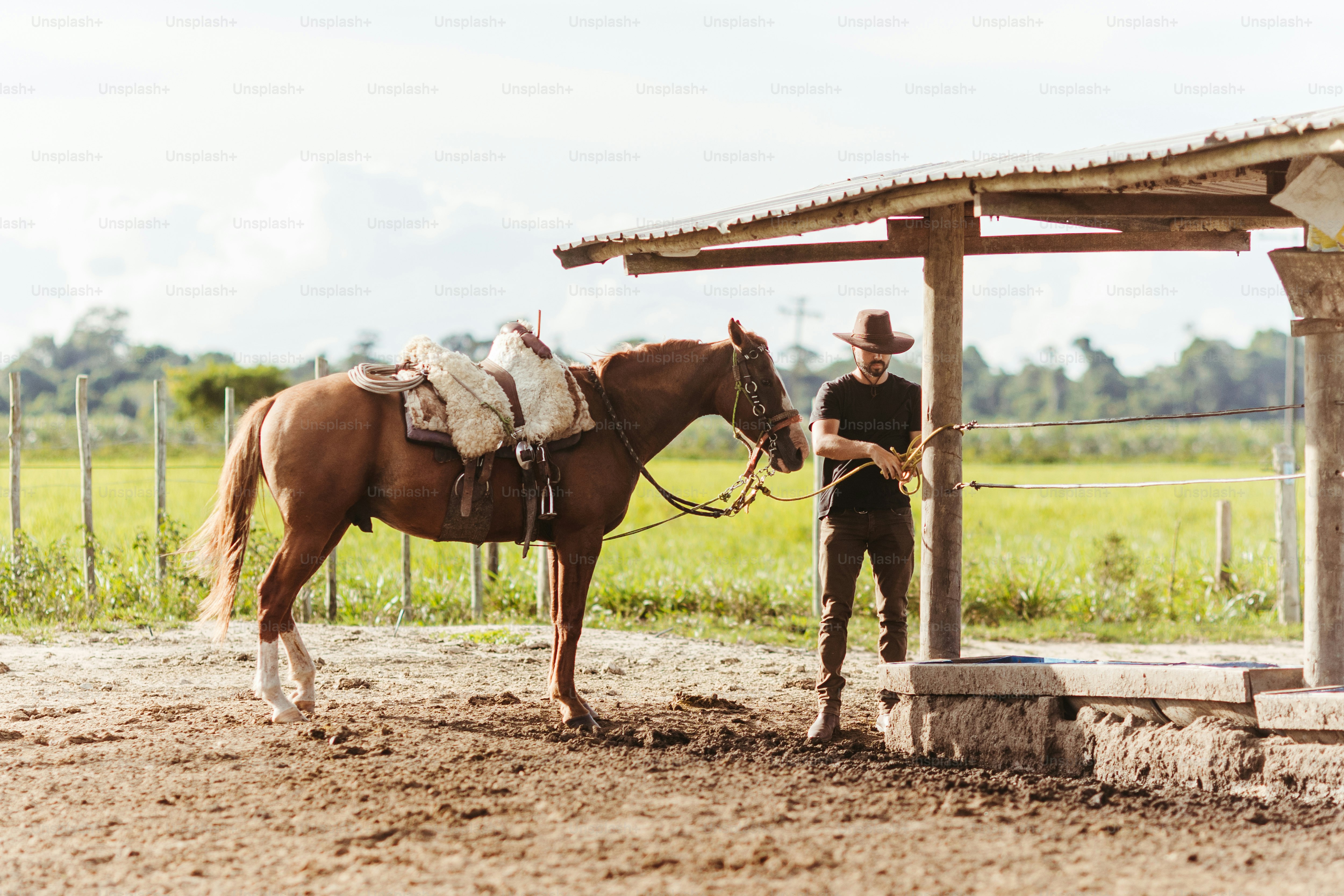 a man standing next to a brown horse