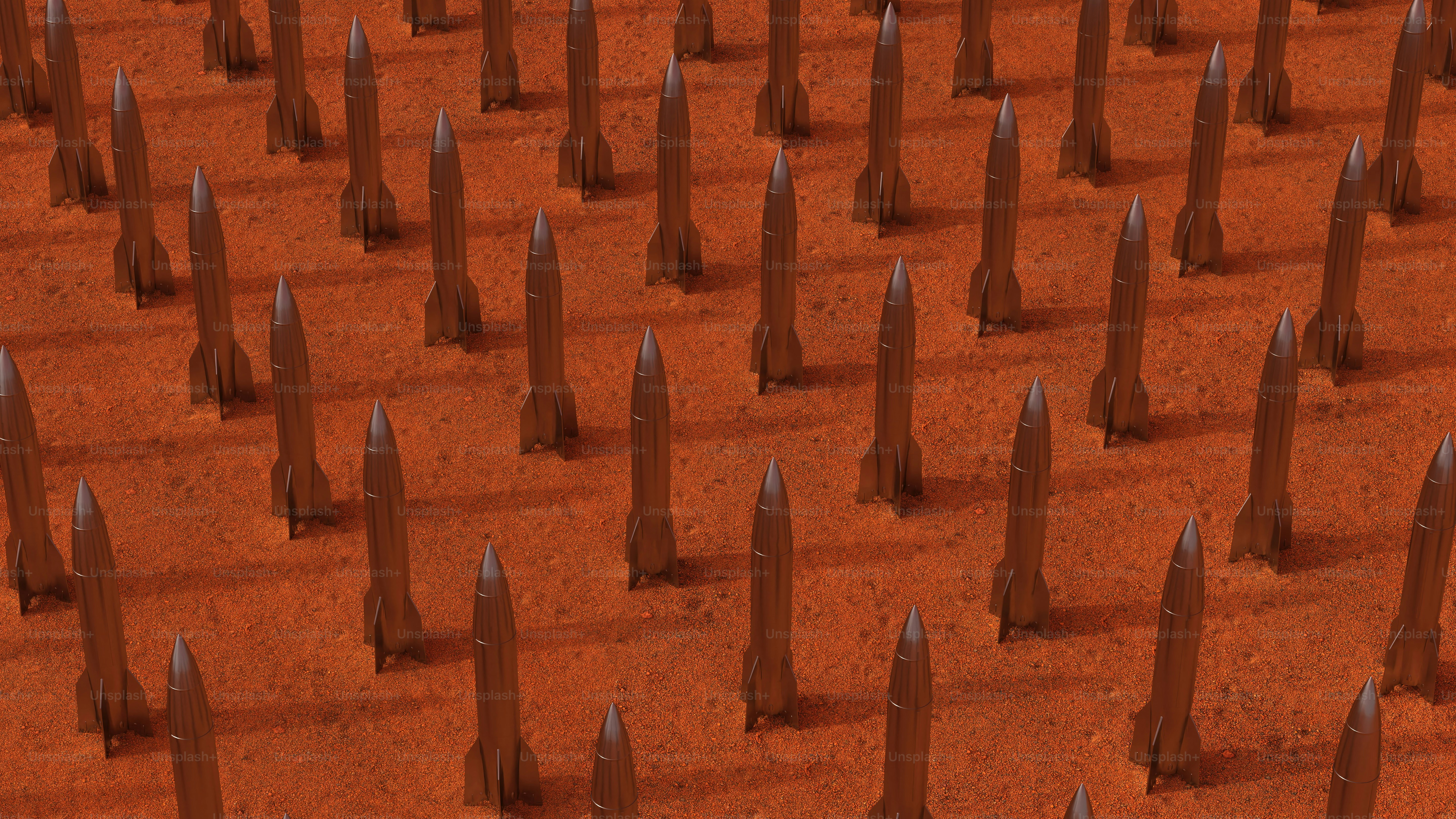 a large group of trees that are in the dirt