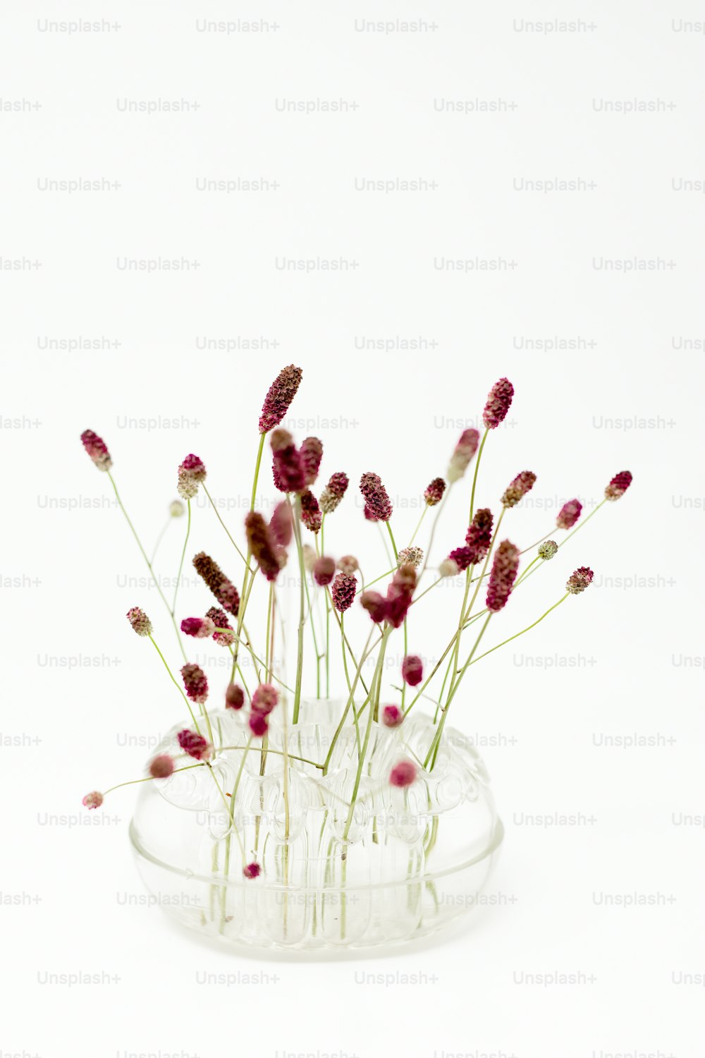 Un jarrón de vidrio lleno de flores púrpuras encima de una mesa blanca